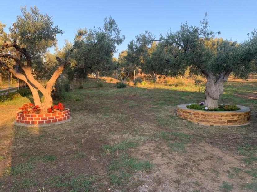 Dora'S Garden Villa Alexandroupoli Bagian luar foto