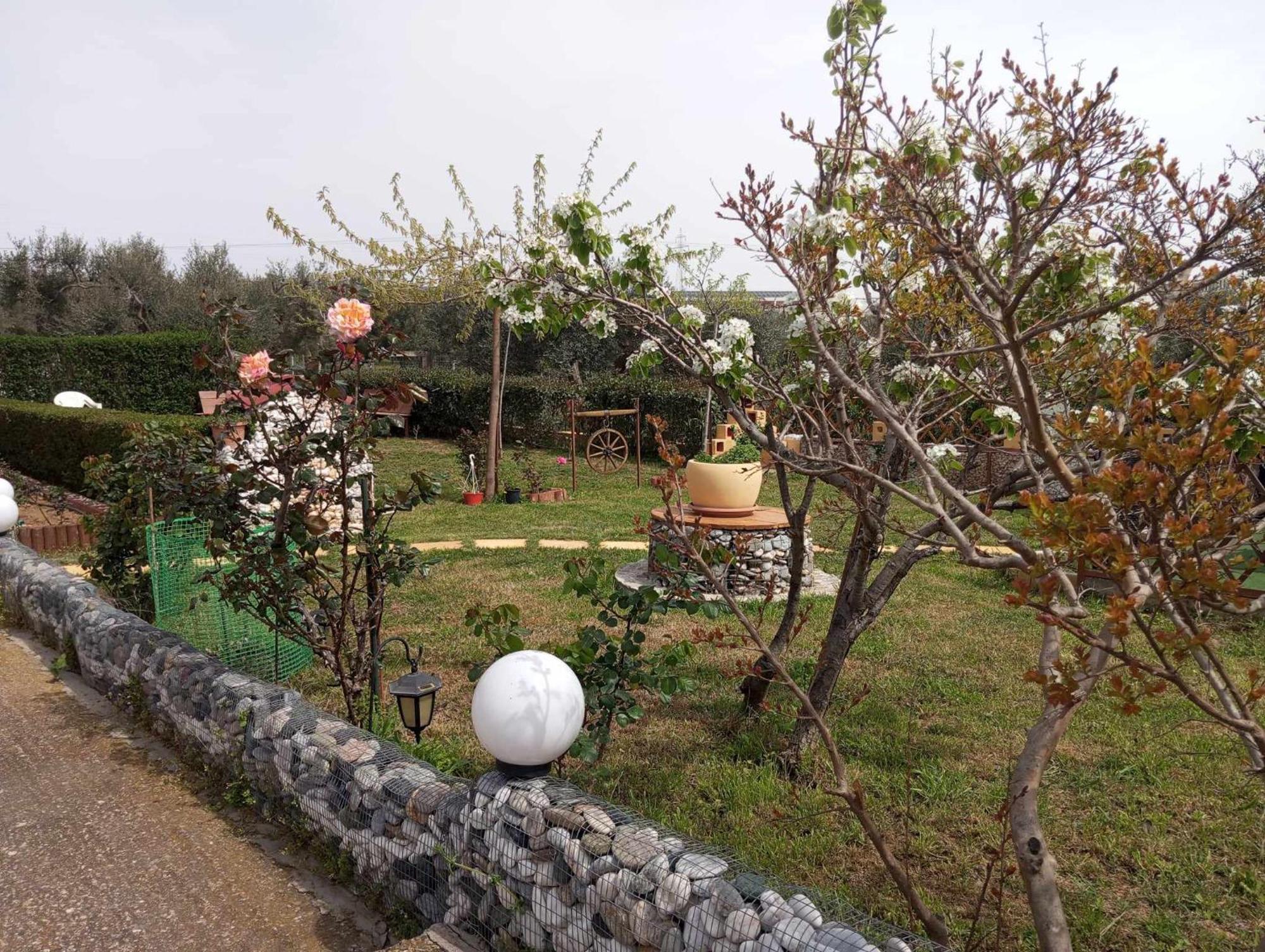Dora'S Garden Villa Alexandroupoli Bagian luar foto